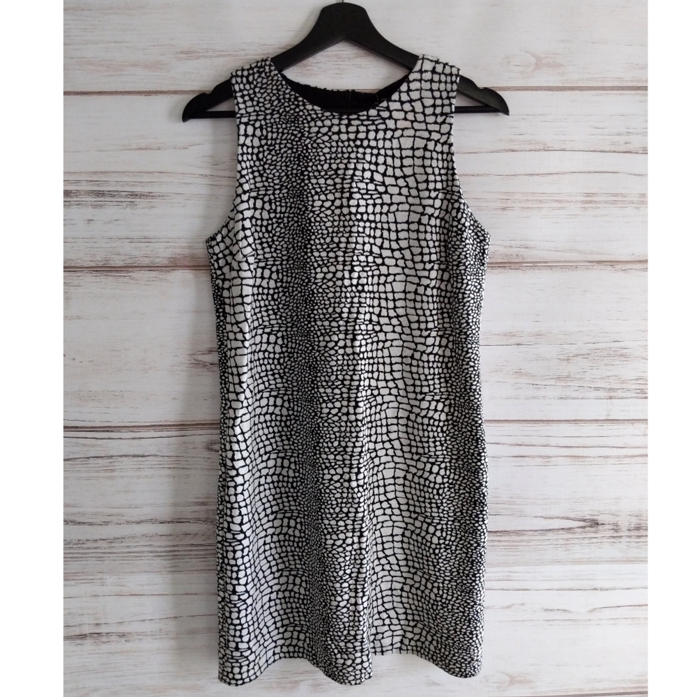 NWT Aqua Black White Snake Print Shift Dress
